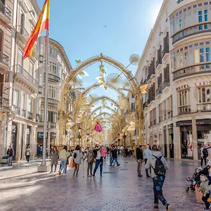 Large Apartment in the heart of Málaga Málaga